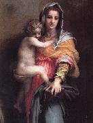 Madonna of the Harpies Andrea del Sarto